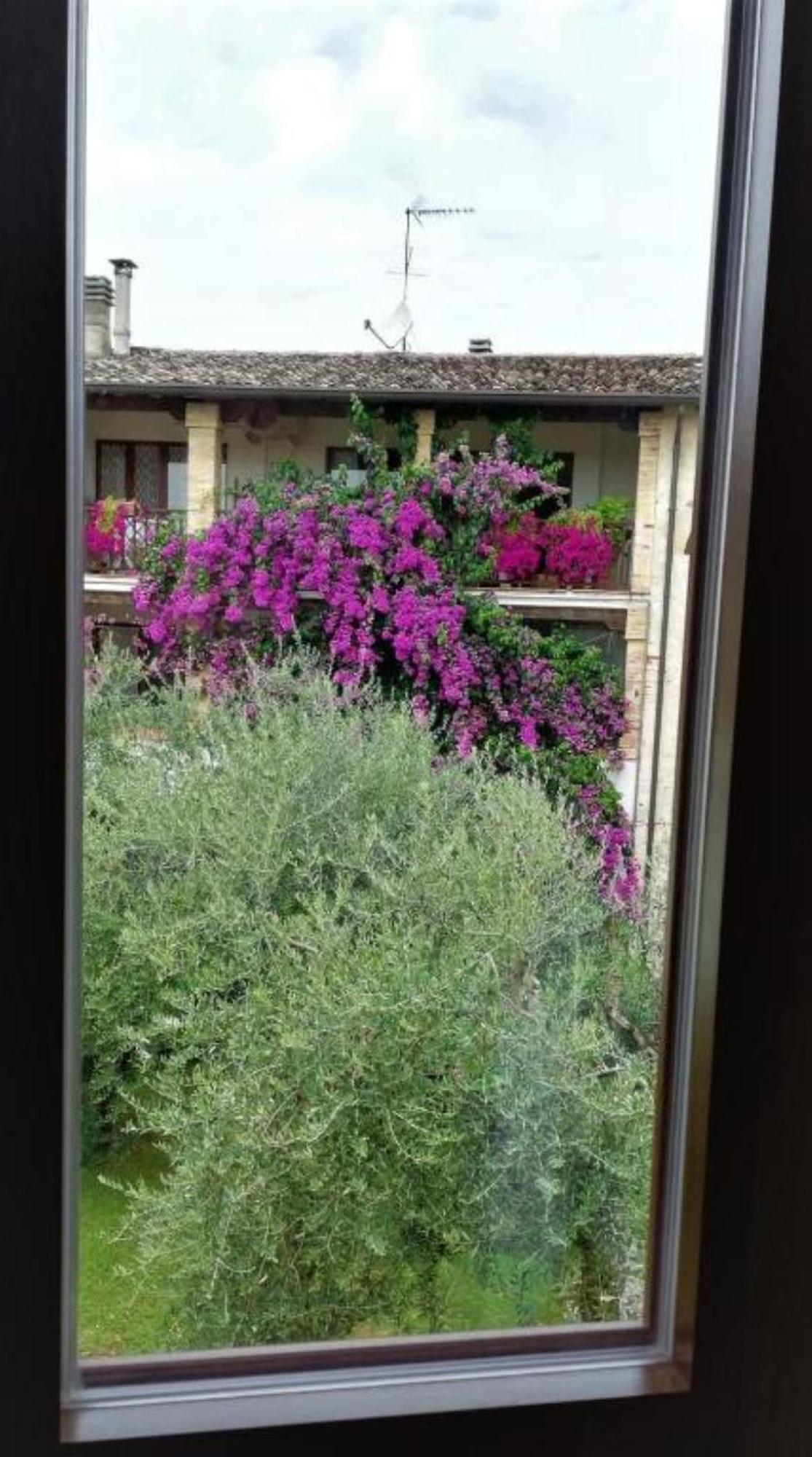 Dolce Lago B&B San Felice del Benaco Ngoại thất bức ảnh